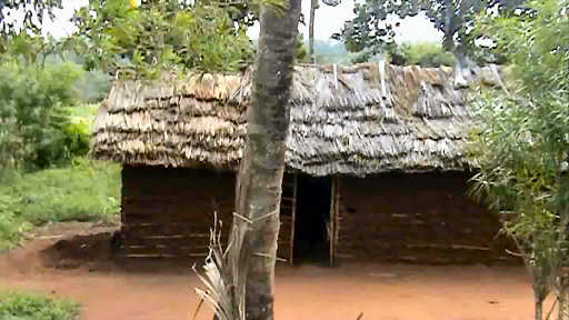 Mabirikanigr2.jpg size 29 kb